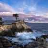 Pebble Beach Lone Cypress Evening By Bart Keagy