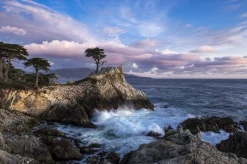Pebble Beach Lone Cypress Evening By Bart Keagy