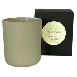 Pebble Beach Point Lobos Enlightened Candle By Carmel Candle Lab